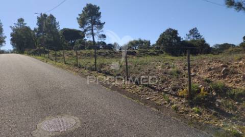 Terreno rústico 8600 m2