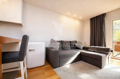 T0 renovado e mobilado - vista parque natural peneda-gerês