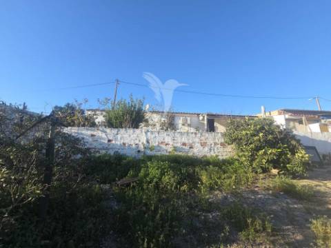 Moradia térrea com quintal – safara | 604 m² de terreno