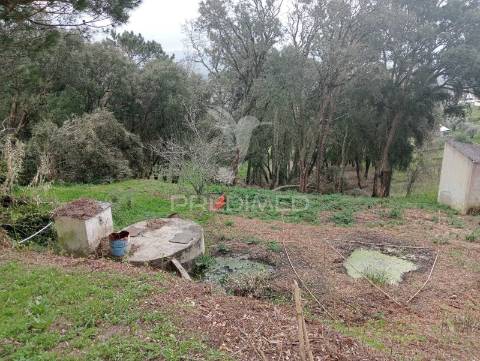 Terreno rústico - rua do castanheiro, porto de mós