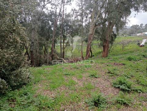 Terreno rústico - rua do castanheiro, porto de mós