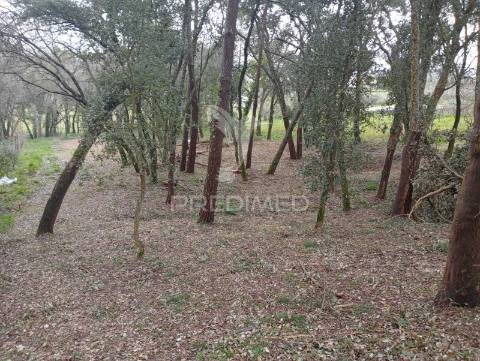 Terreno rústico - rua do castanheiro, porto de mós