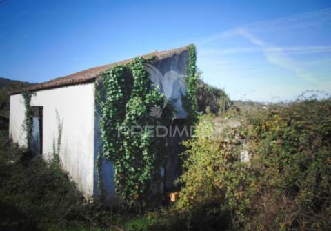 Imóvel p/ recuperar vilarinho s. romão - douro vinhateiro