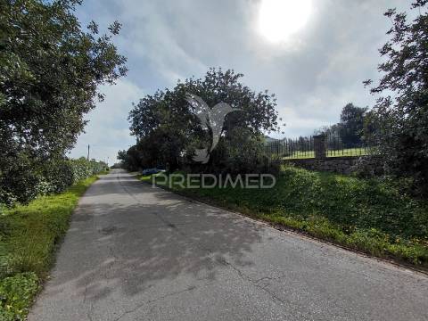 Terreno rústico, 4.920 m², perto de olhão e faro