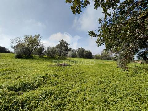 Terreno rústico, 4.920 m², perto de olhão e faro