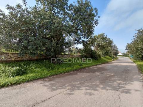 Terreno rústico, 4.920 m², perto de olhão e faro