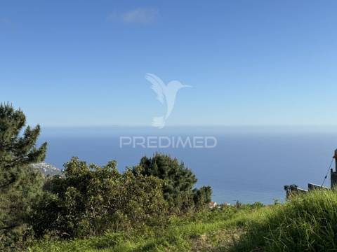 Terreno agrícola com pequeno palheiro na ponta do sol na ilha da madeira