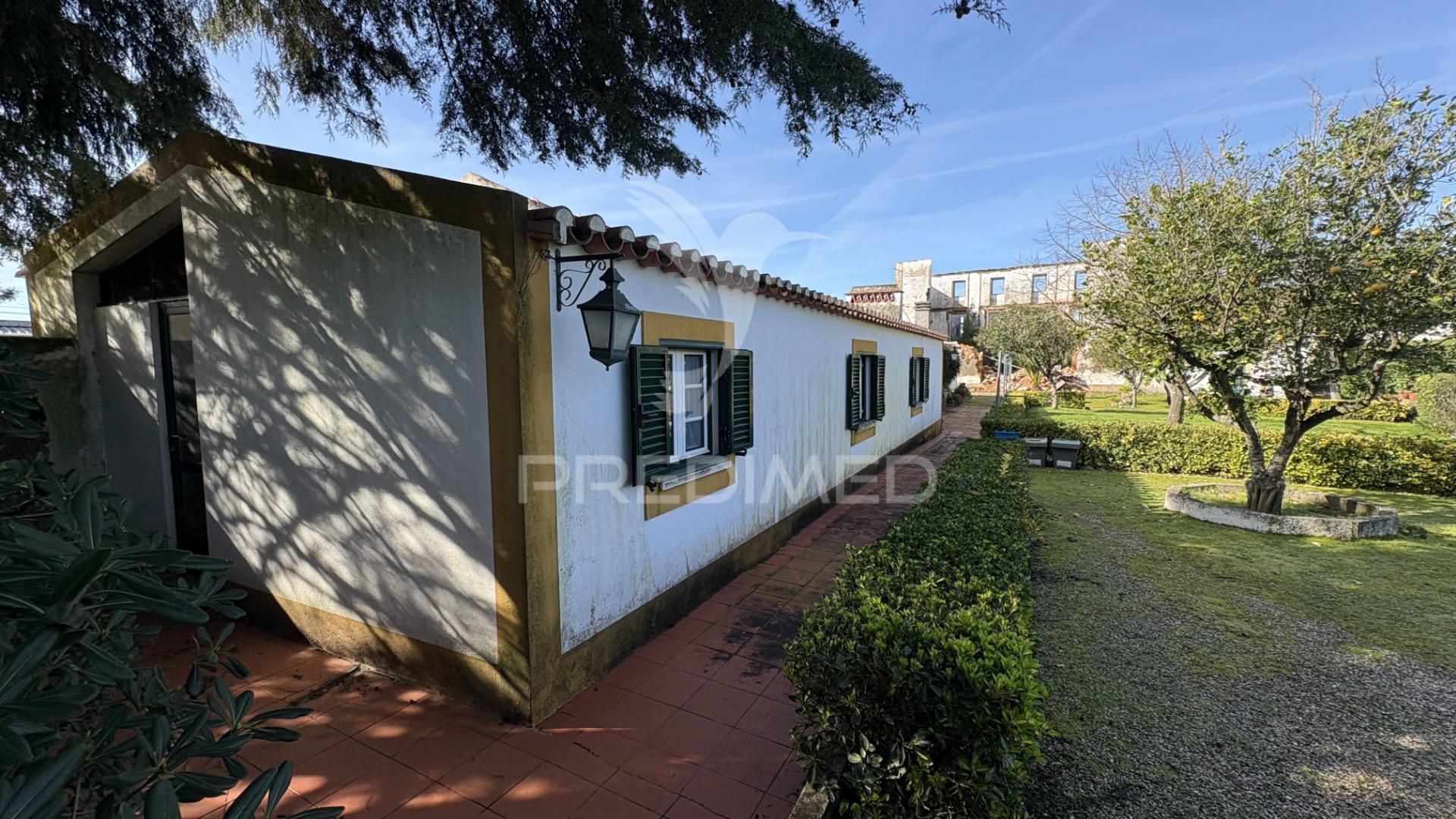 Quinta rústica para venda em montalvo – 12 hectares de oportunidade