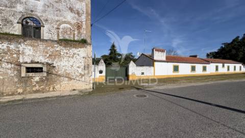 Quinta rústica para venda em montalvo – 12 hectares de oportunidade