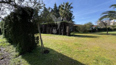 Quinta rústica para venda em montalvo – 12 hectares de oportunidade