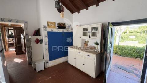 Quinta rústica para venda em montalvo – 12 hectares de oportunidade