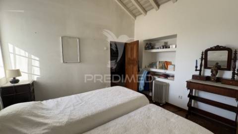 Quinta rústica para venda em montalvo – 12 hectares de oportunidade