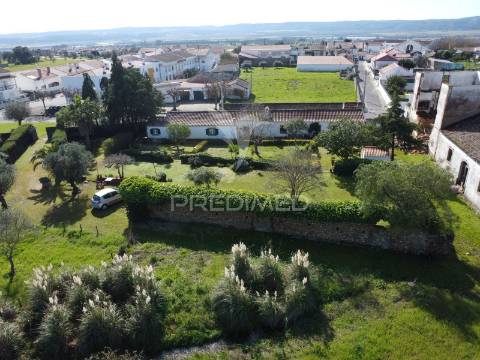 Quinta rústica para venda em montalvo – 12 hectares de oportunidade