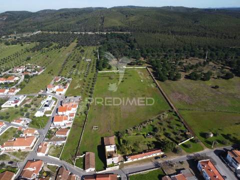 Quinta rústica para venda em montalvo – 12 hectares de oportunidade