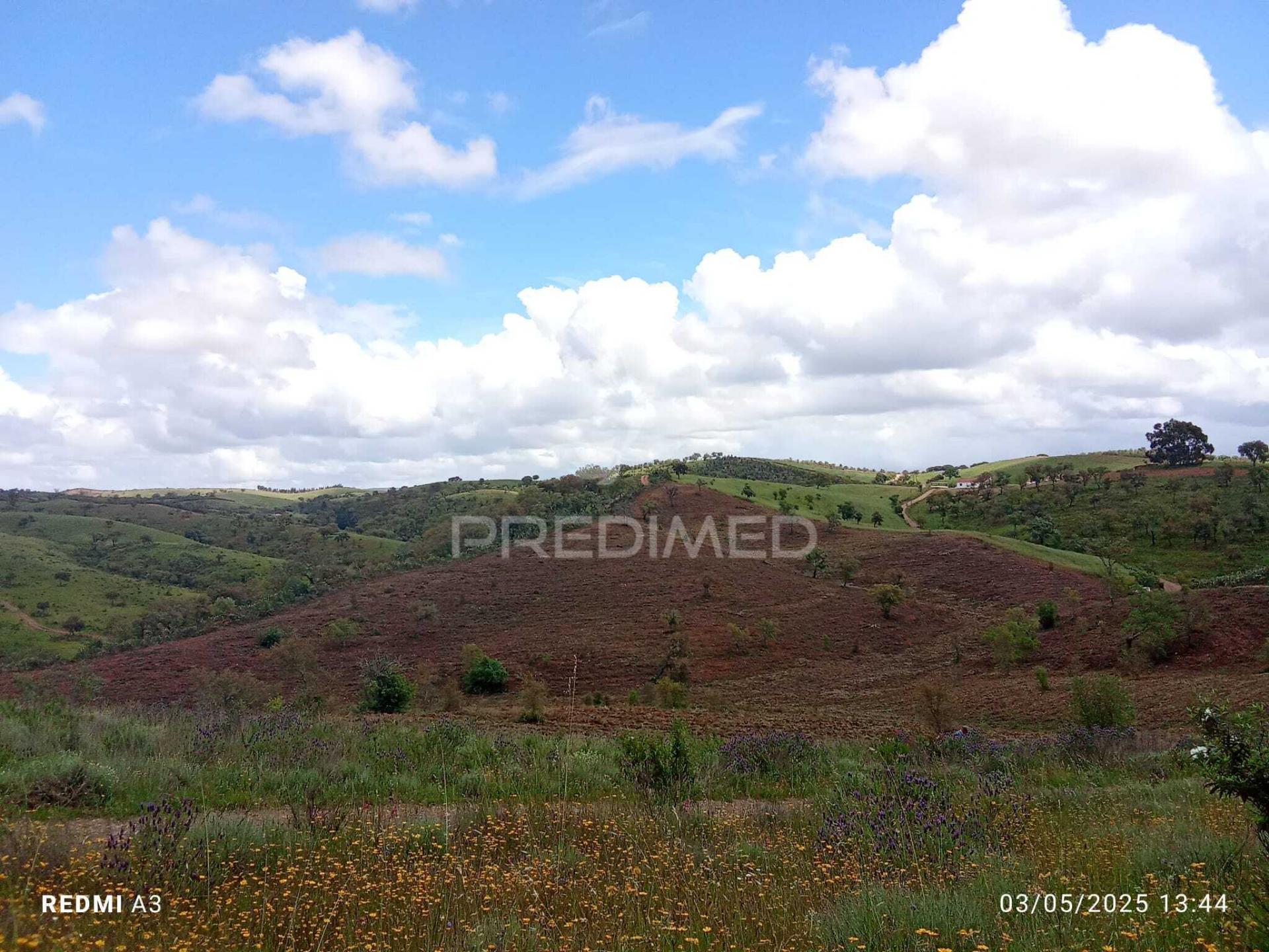 Terreno rústico "cerro da gruta",odemira.