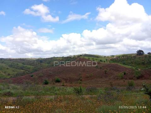 Terreno rústico "cerro da gruta",odemira.