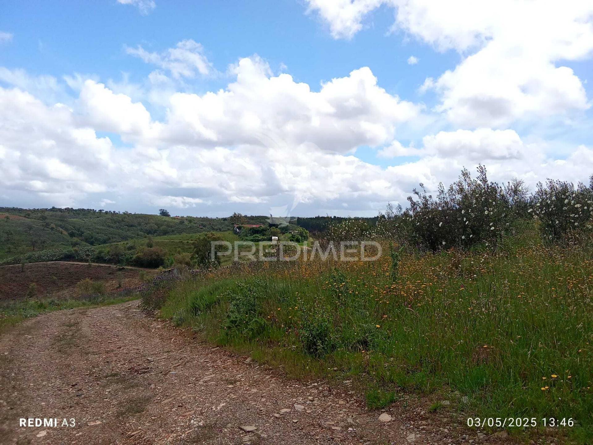 Terreno rústico "cerro da gruta",odemira.