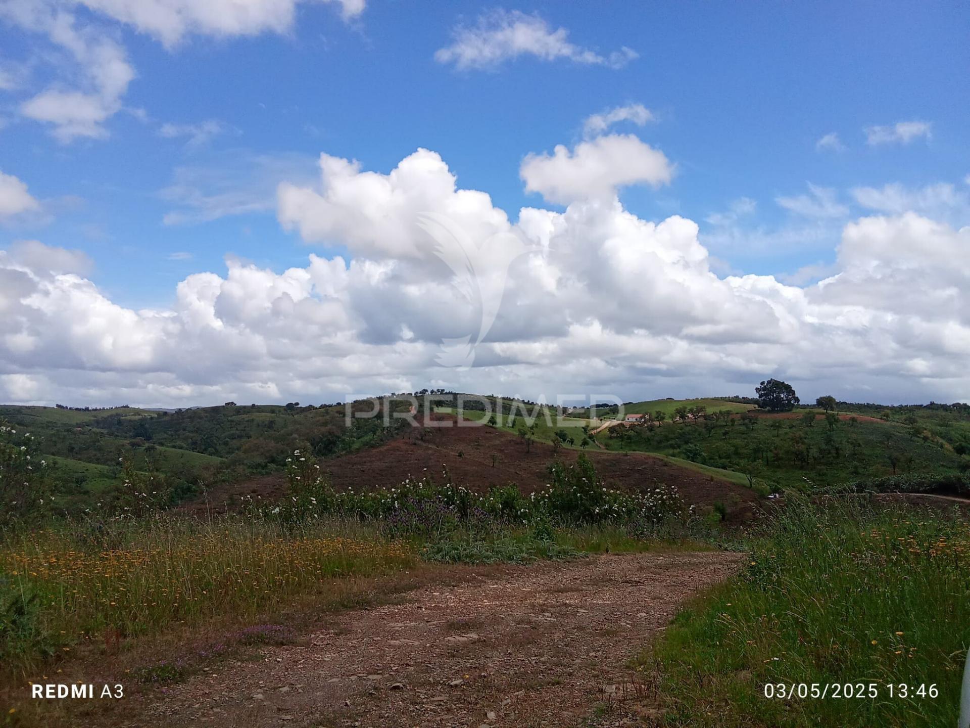 Terreno rústico "cerro da gruta",odemira.
