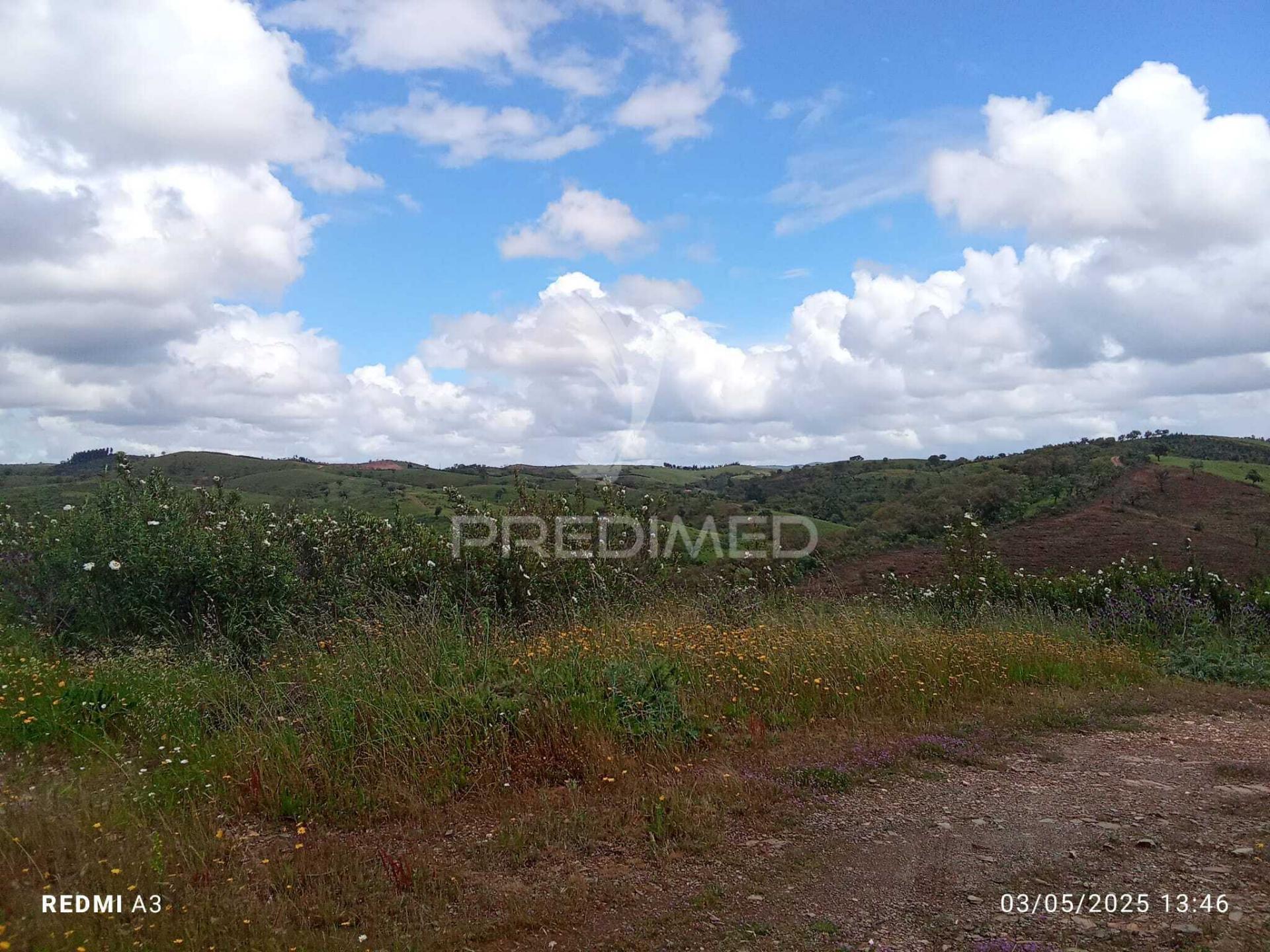 Terreno rústico "cerro da gruta",odemira.