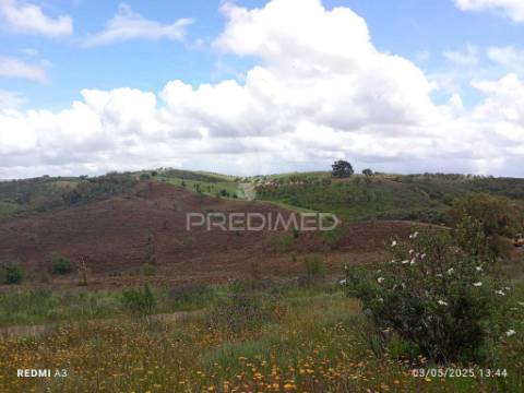 Terreno rústico "cerro da gruta",odemira.
