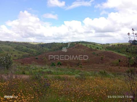 Terreno rústico "cerro da gruta",odemira.