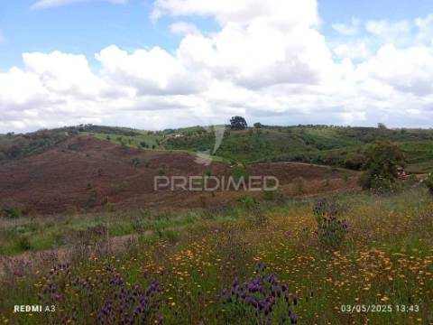 Terreno rústico "cerro da gruta",odemira.