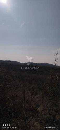 Terreno rústico "cerro da gruta",odemira.