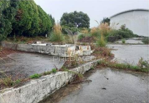 Armazém em santa maria feira