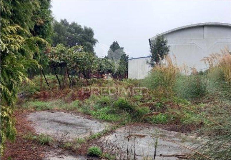 Armazém em santa maria feira