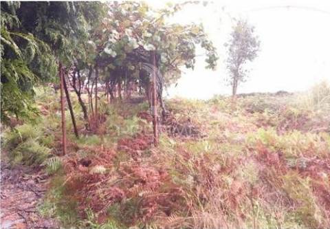 Armazém em santa maria feira