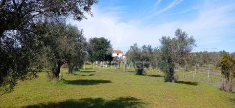 Monte alentejano com 13.250 m2, casa branca, sousel