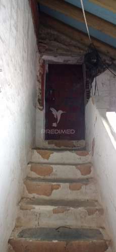 Monte alentejano com 13.250 m2, casa branca, sousel