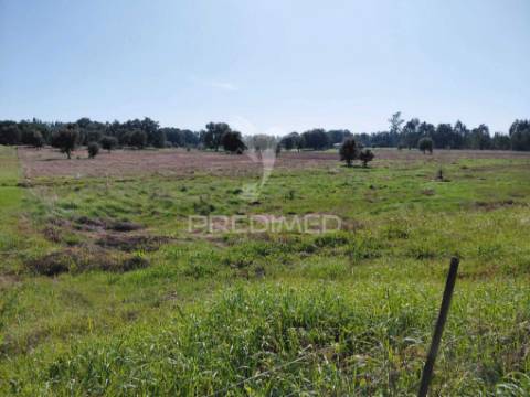 Monte do outeirinho,foros do locário,santiago do cacém.