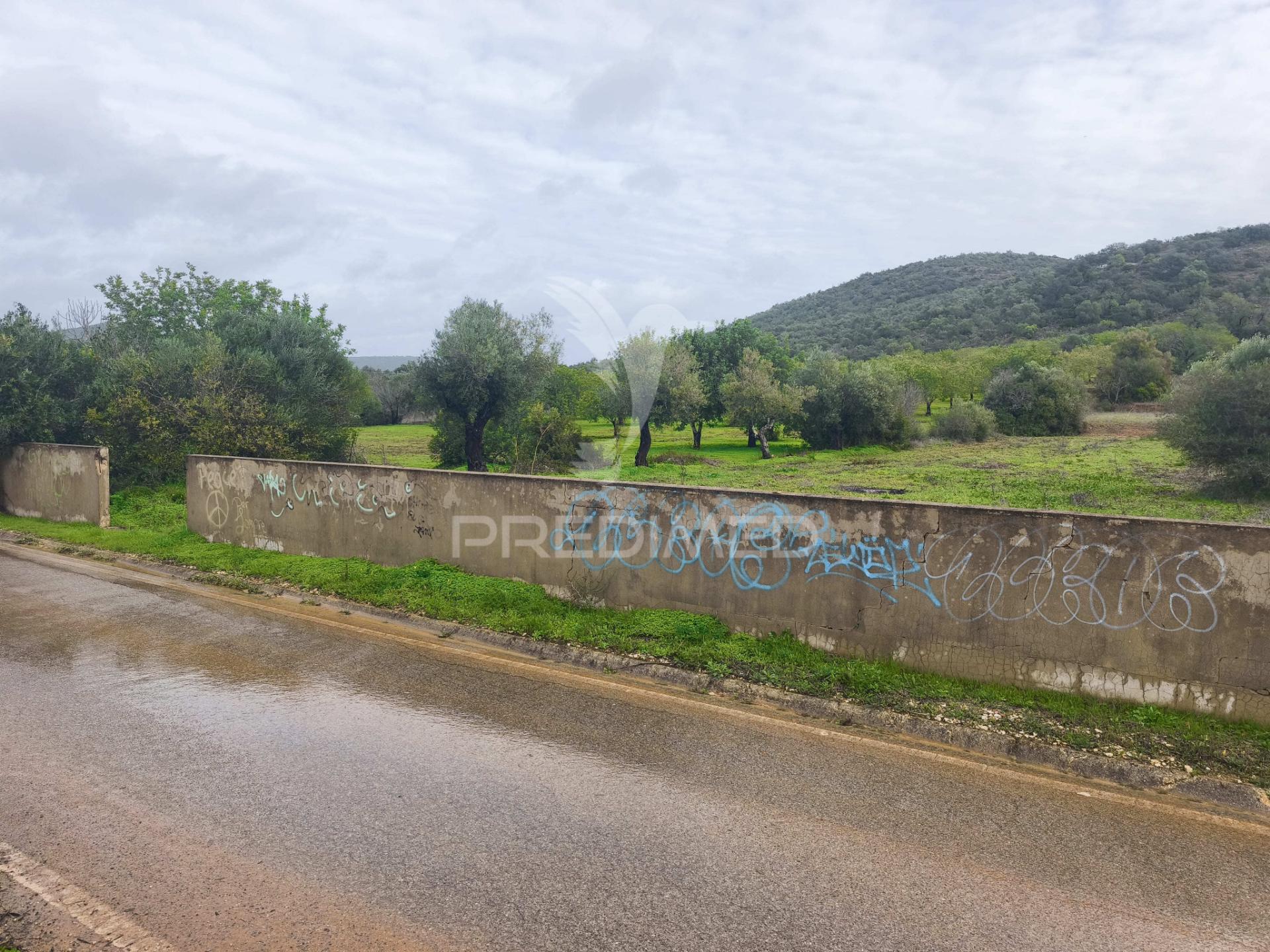 Paderne - terreno com água e eletricidade