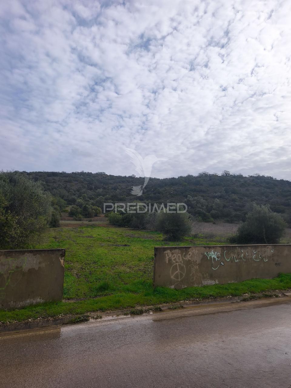 Paderne - terreno com água e eletricidade