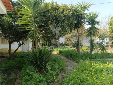 Venda de terreno urbano