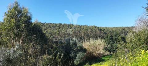 Moradia t3 para recuperar em matacães (torres vedras)