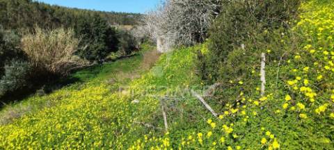 Moradia t3 para recuperar em matacães (torres vedras)