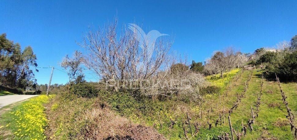 Terreno rústico em matacães (torres vedras)
