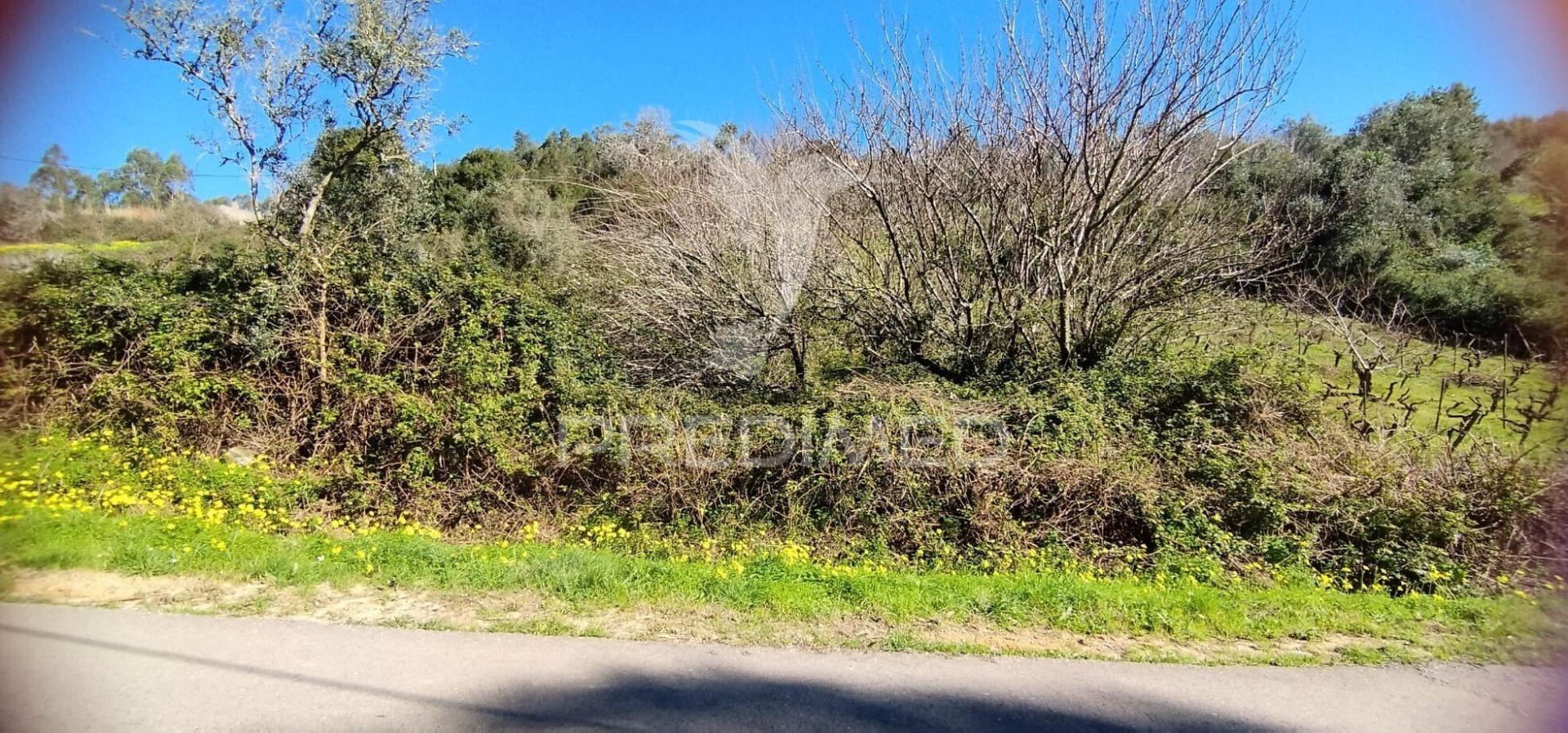 Terreno rústico em matacães (torres vedras)