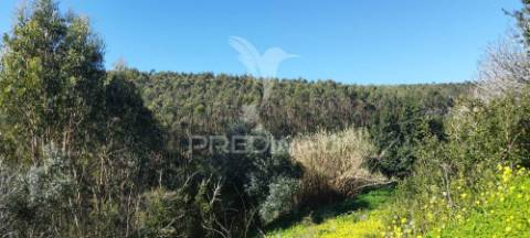 Terreno rústico em matacães (torres vedras)