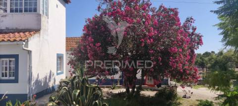 Quinta de 16660 m2 moradias t3 e t2 e 1 pavilhão 487 m2