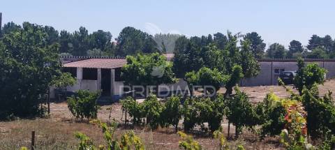 Quinta de 16660 m2 moradias t3 e t2 e 1 pavilhão 487 m2