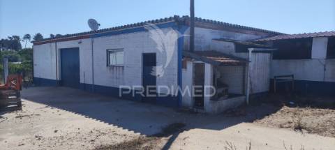 Quinta de 16660 m2 moradias t3 e t2 e 1 pavilhão 487 m2