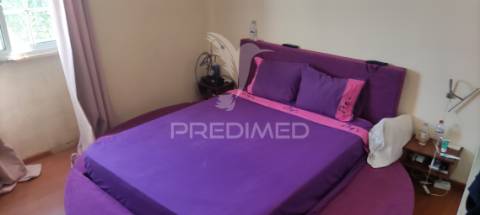 Quinta de 16660 m2 moradias t3 e t2 e 1 pavilhão 487 m2