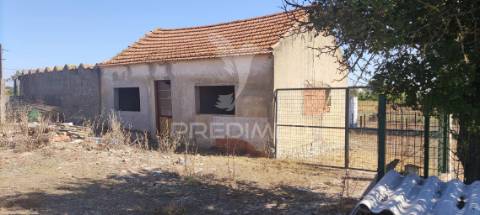 Quinta de 16660 m2 moradias t3 e t2 e 1 pavilhão 487 m2