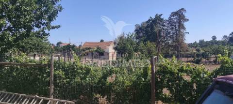 Quinta de 16660 m2 moradias t3 e t2 e 1 pavilhão 487 m2