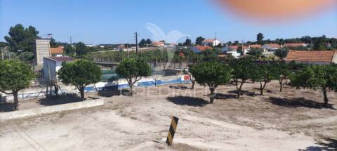 Quinta de 16660 m2 moradias t3 e t2 e 1 pavilhão 487 m2