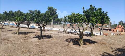 Quinta de 16660 m2 moradias t3 e t2 e 1 pavilhão 487 m2