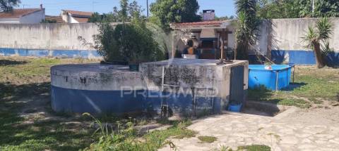 Quinta de 16660 m2 moradias t3 e t2 e 1 pavilhão 487 m2